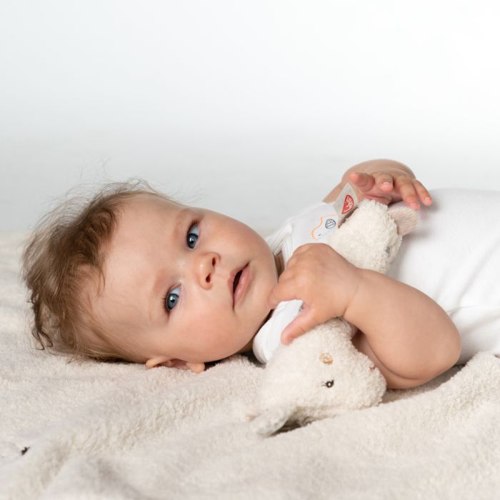 Llama Grabber - Image 4